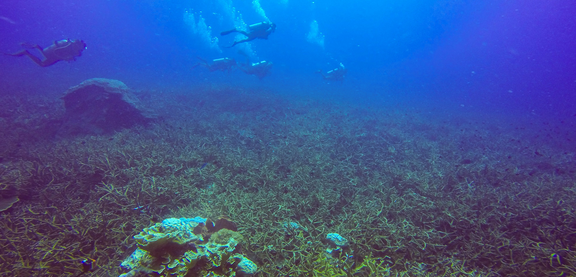 水處理技術(shù)