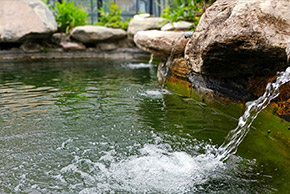 戴思樂(lè)園區(qū)