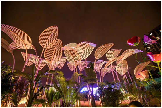 無氯游泳池系統(tǒng)，無氯游泳池，露天無氯游泳池