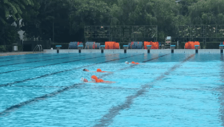 戴思樂(lè)游泳館,戴思樂(lè)泳池，游泳館運(yùn)營(yíng)管理