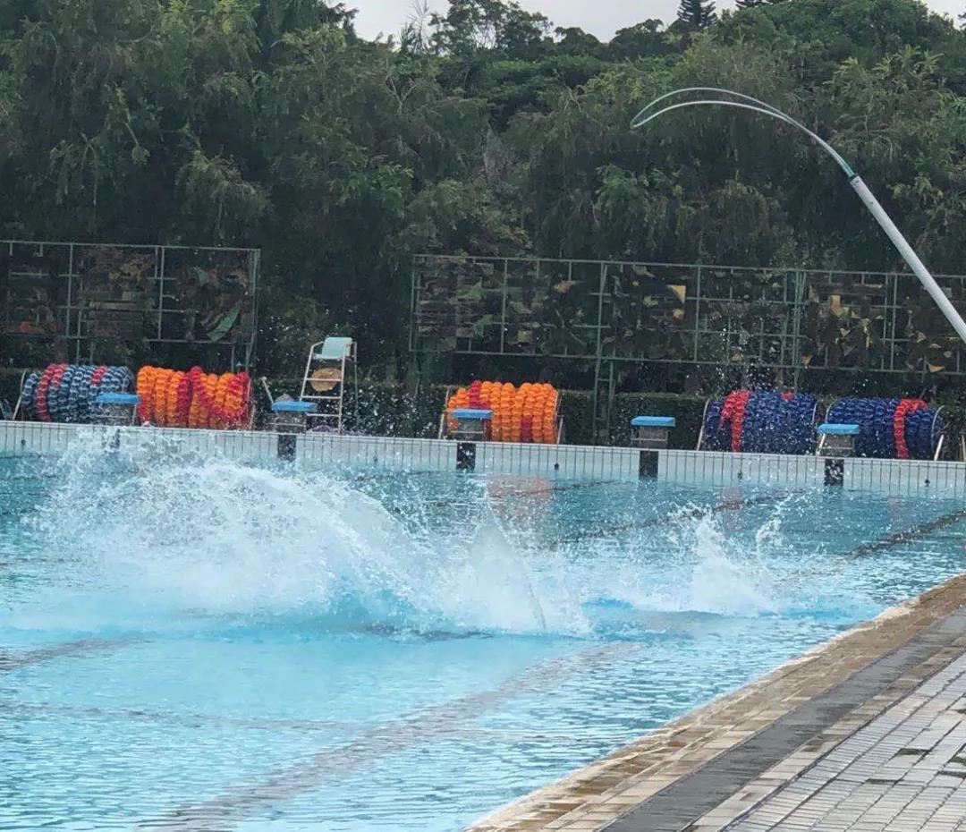 戴思樂(lè)游泳館,戴思樂(lè)泳池，游泳館運(yùn)營(yíng)管理