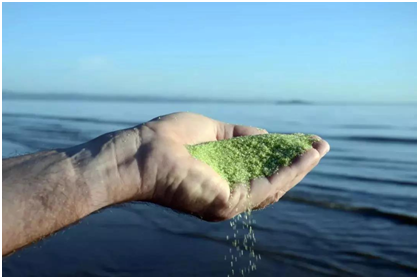 別墅泳池，別墅泳池設(shè)備，別墅泳池設(shè)備有哪些類型？