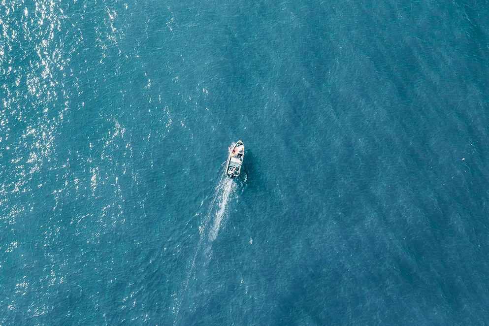 <b>官宣：戴思樂集團用戶中心重磅升級！</b>