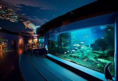 海洋館安裝恒溫除濕機的好處，除濕機需要具備哪些功能？