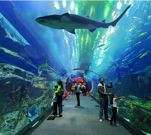<b>海洋館水質(zhì)如何處理？水處理系統(tǒng)是關(guān)鍵！</b>