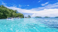 <b>是什么竟把“小而美”的泳池，變成了廣闊無(wú)垠的汪洋大海？</b>