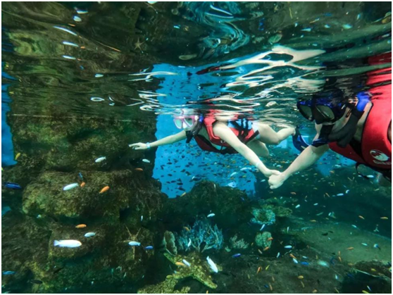浮潛體驗館,浮潛館,國內(nèi)浮潛體驗館 浮潛體驗館,浮潛館,國內(nèi)浮潛體驗館