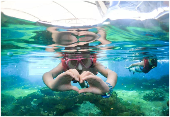 1594106798774270.jpg 4.jpg