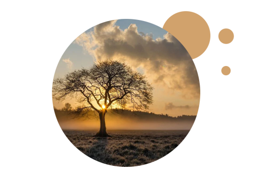 1594973497133415.png 芬蘭浴