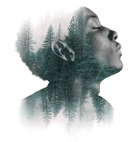 1594973512737048.jpg 芬蘭浴