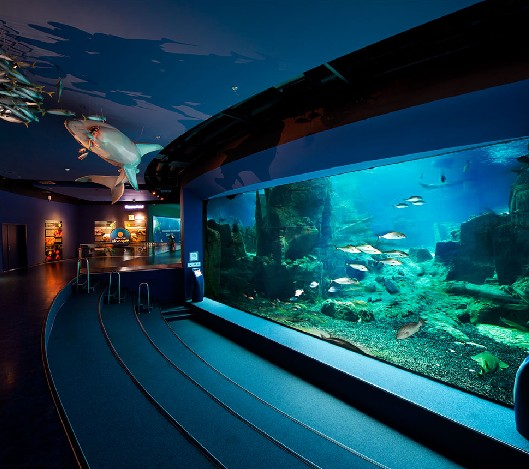 水質(zhì)處理設備,水族館水處理,水族館設備