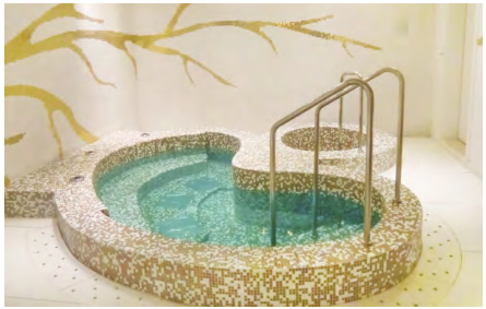 戴思樂(lè)SPA泳池，在家也能舒舒服服的“馬殺雞”，你值得擁有！