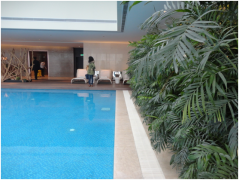 別墅建泳池或魚池，別糾結(jié)了，先來(lái)看看兩者的區(qū)別再?zèng)Q定！