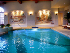 泳池水泵品牌哪家好，如何選型？