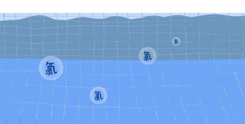 游泳池水質(zhì)處理