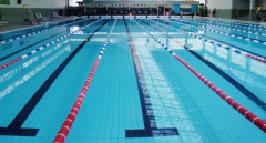 <b>游泳池為什么要做水處理？</b>