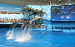 海洋館里的水怎么過(guò)濾？