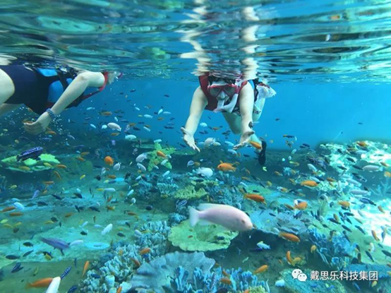 海洋浮潛館，海洋館設備