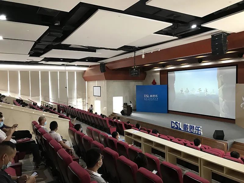 戴思樂(lè),戴思樂(lè)集團(tuán)