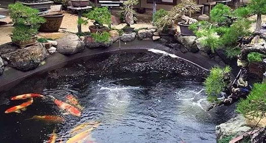 別墅景觀魚池如何設計