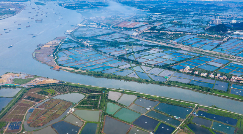 打造綠色魚塘，實(shí)現(xiàn)尾水治理與生態(tài)共贏？