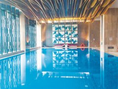 戴思樂游泳池不銹鋼過濾器，游泳池水質(zhì)的守護(hù)者，耐用與效率并存！