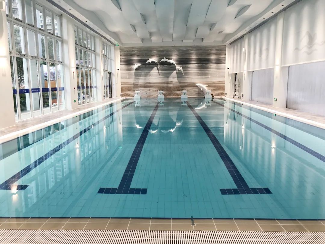 游泳池設(shè)備,泳池設(shè)備,游泳池水處理設(shè)備,游泳池循環(huán)設(shè)備