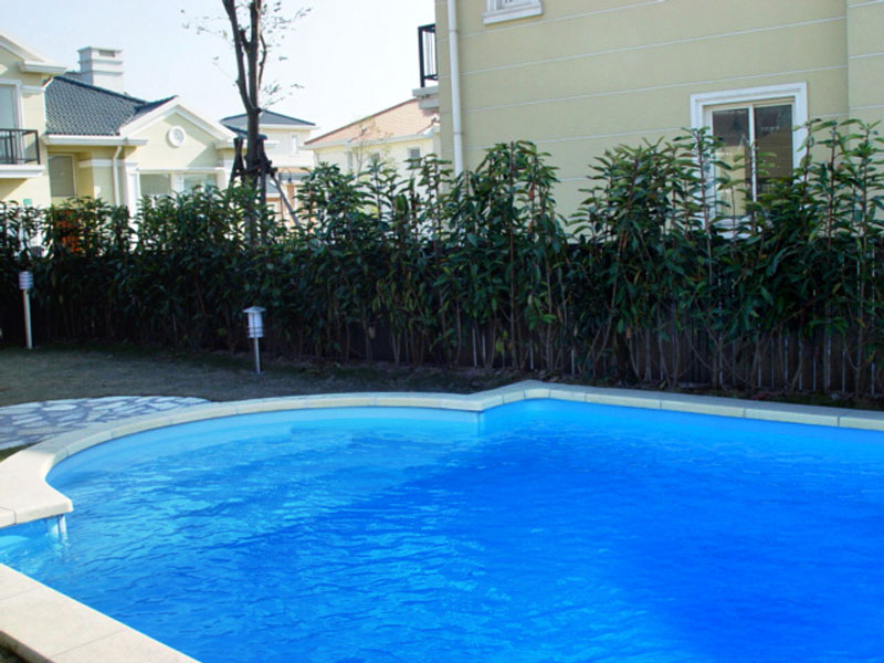 告別泳池水底污垢，這款游泳池水龜是 “神器”！