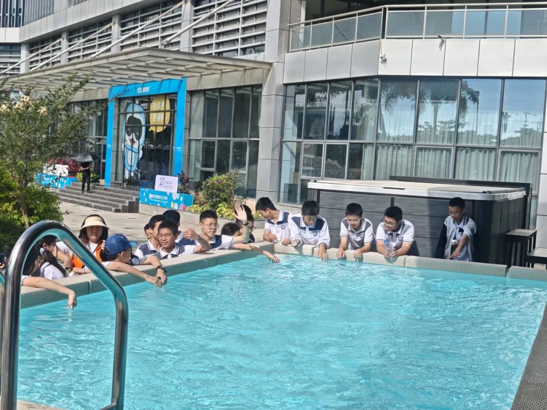 戴思樂集團(tuán),戴思樂