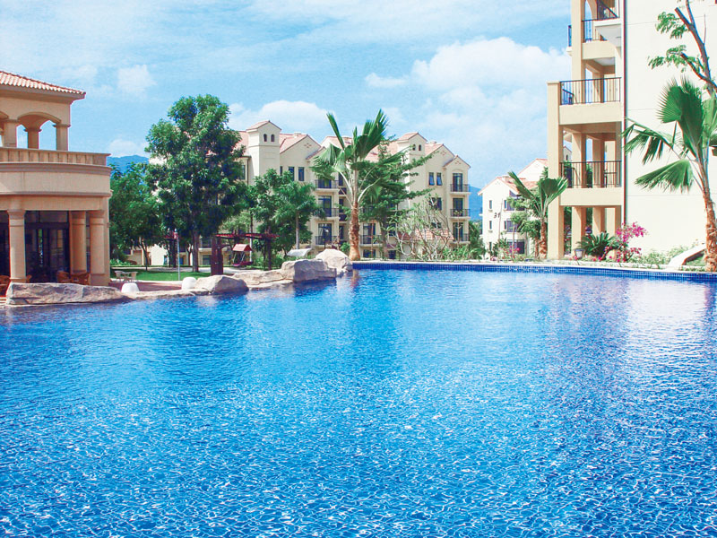 無線游泳池水龜哪家好？