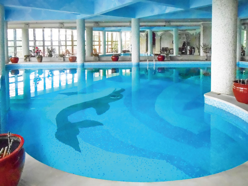 游泳池水變綠,游泳池水渾濁,游泳池水發(fā)綠,游泳池渾濁原因